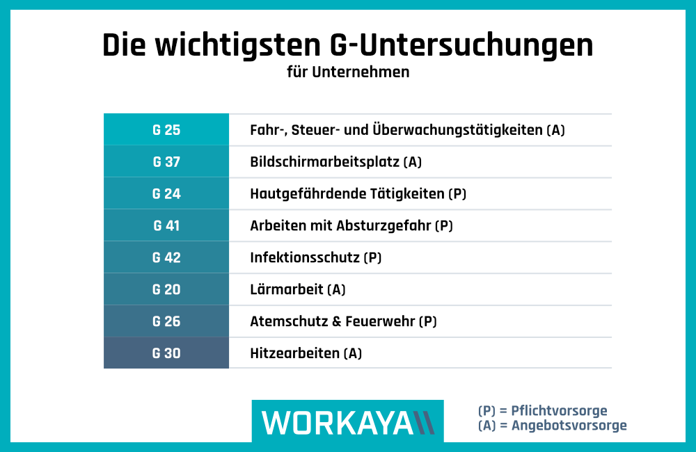 Die wichtigsten G-Untersuchungen für Unternehmen